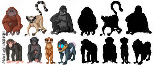 Set of cartoon animals with silhouette