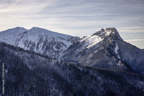 Winter landscape of snowy Tatry Mountains. Poland
