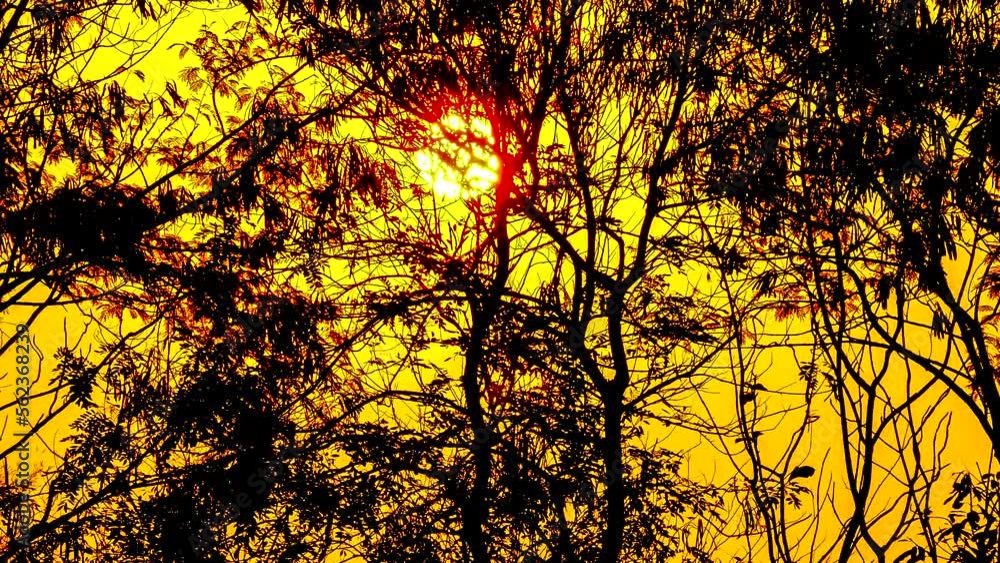 Time lapse of sunrise in the morning , Chiangmai Thailand Time lapse of sunrise in the morning , Chiangmai Thailand
