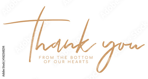 Thank you from the bottom of our hearts. thank you handwritten inscription. hand drawn lettering. Thank you calligraphy. Thank you card. Vector illustration. photo