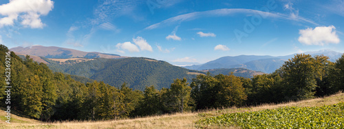 Carpathian Mountains panoramic landscape, Ukraine.