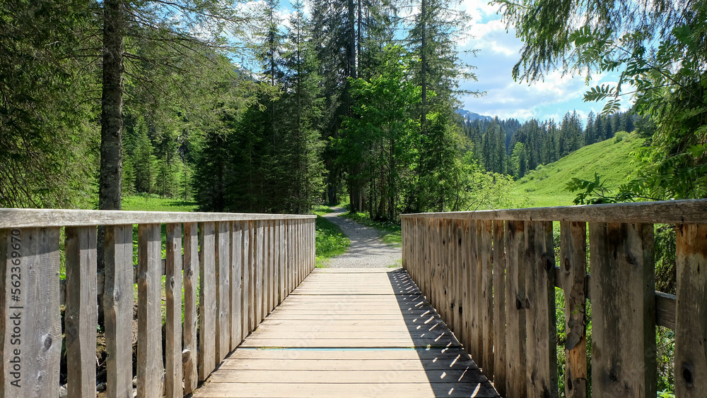 Obraz premium Wanderweg in Oberstdorf im Sommer