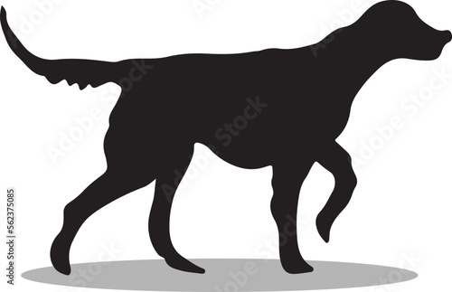 English Setters Silhouette  cute English Setters Vector Silhouette  Cute English Setters cartoon Silhouette  English Setters vector Silhouette  English Setters icon Silhouette  English Setters Silhoue