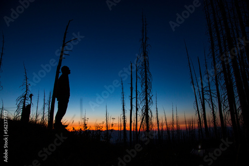 A silhouetted man looks up at twilight in a burned forest in Montana.