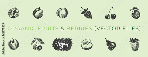 Vector hand drawnings of fruits and berries. Logo design templates. Vegetarian food icons. Fruit signs. Natural juice label, packaging. Healthy food idea. Vegan cosmetics symbols. Textured effect.