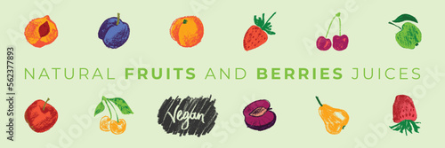 Vector hand drawnings of fruits and berries. Logo design templates. Vegetarian food icons. Fruit signs. Natural juice label, packaging. Healthy food idea. Vegan cosmetics symbols. Textured effect.