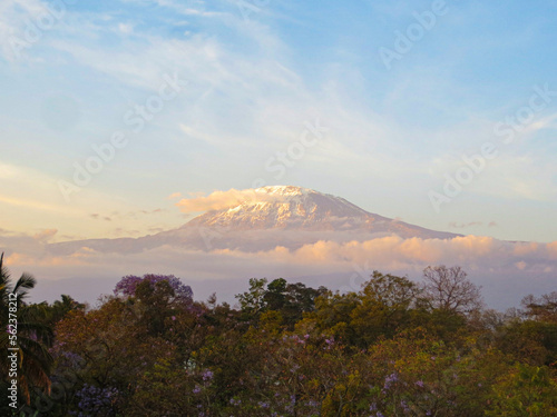 Views of kilimanjaro at sunset, Tanzania