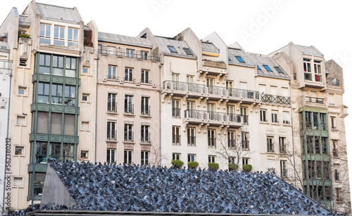 Photography Isolated PNG cutout of a cityscape in Paris with a lot of pigeons on a transpare