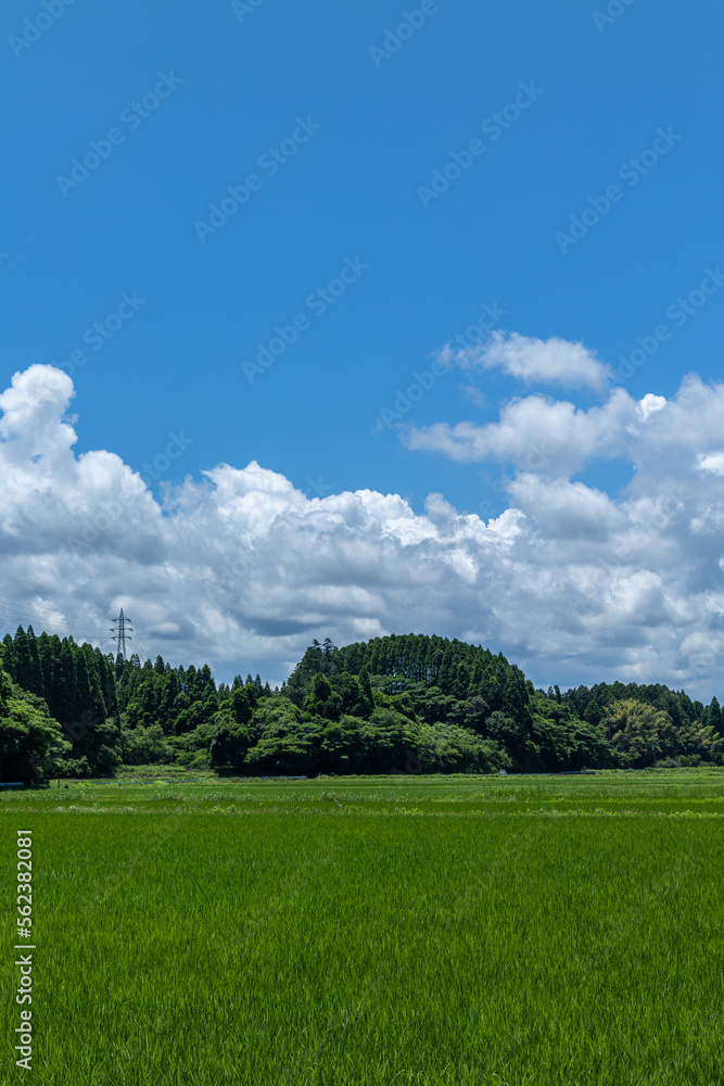 Naklejka premium 青空と雲