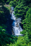 養老渓谷の粟又の滝