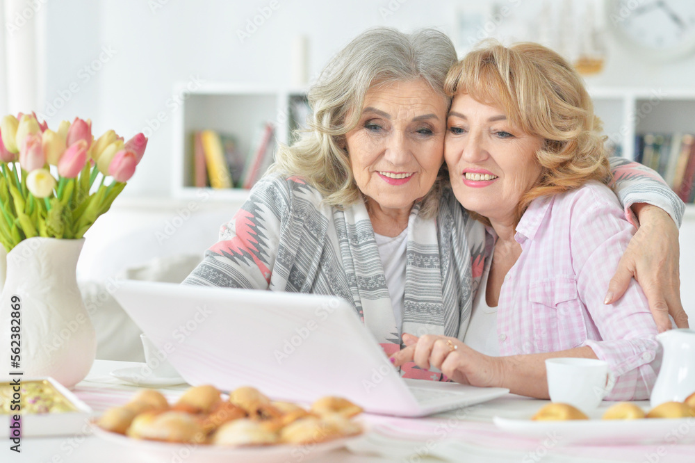 two senior women using laptop two senior women using laptop