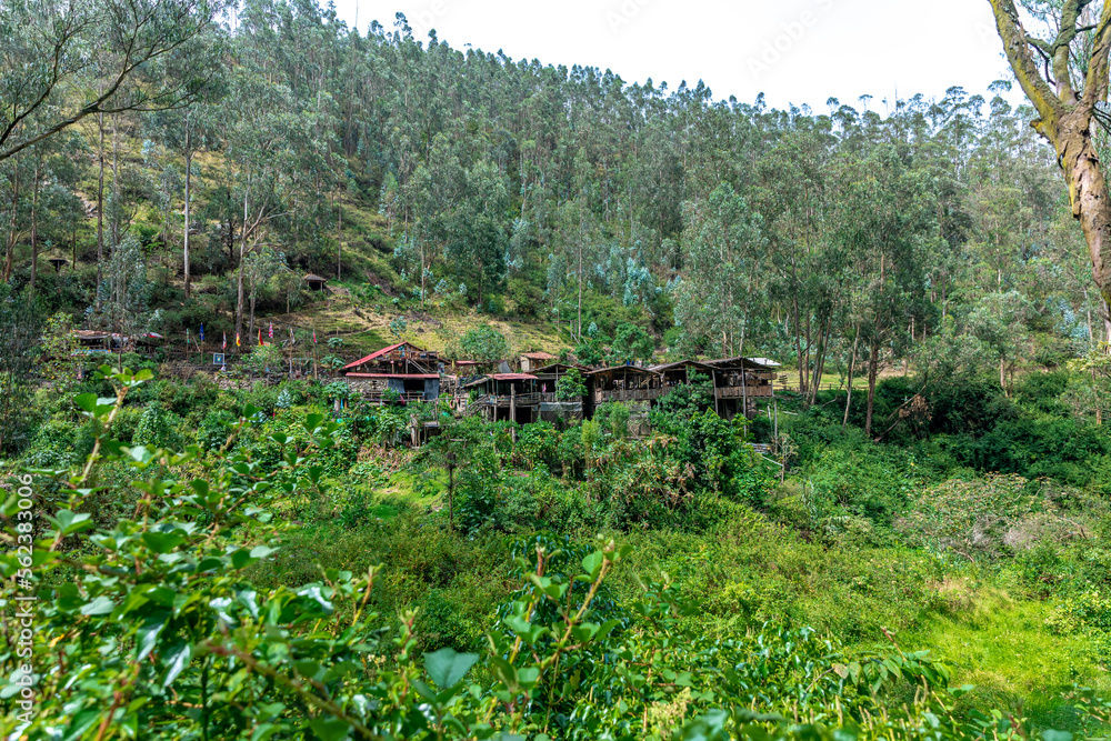 houses in trees, forest villages houses in trees, forest villages