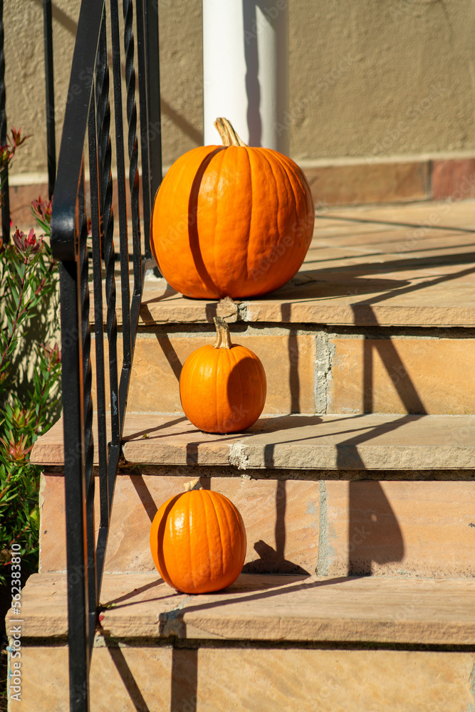 Row of decorative pumpkins on the porch of a house in a suburban area with cement steps and black metal hand rail