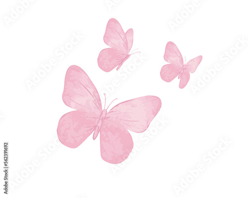pink butterfly on white background © ulucsevda