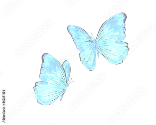 blue butterfly isolated on white © ulucsevda