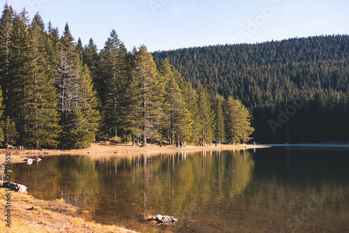 Beautiful view of Black lake, Crno Jezero in Durmitor National Park, Zabljak, northern Montenegro, landscape in a sunny day with blue sky, with glacial lake, forest hiking trail and mountain peaks