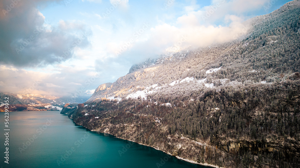 Snow covered mountains around a lake with trees in Switzerland.