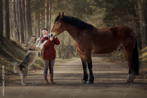 Obraz na płótnie Girl with her beautiful horse and dog malamute w salonie