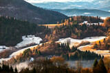 Sielankowy krajobraz słowackich Pienin w czasie bezśnieżnej zimy, kolorowy górski las
