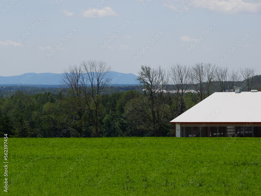 In the distance the mountains we see. In the distance the mountains we see.