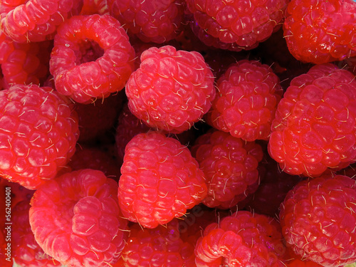 A group of red raspberries close-up background