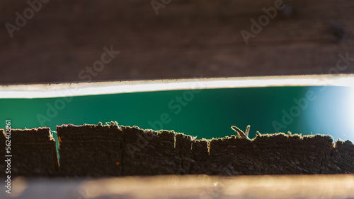 A gap in an old wooden fence. photo