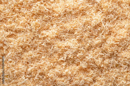 Wood flour, wood powder, surface of fine sawdust, formed by sawing dried spruce. Finely pulverized wood, a by-product and waste product, mainly used as a filler and extender. From above, macro photo.