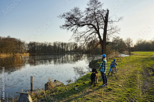 Dzieci spacerujące z psem w pobliżu jeziora. Stare wyschnięte drzewo obok jeziora w czasie wiosny. 