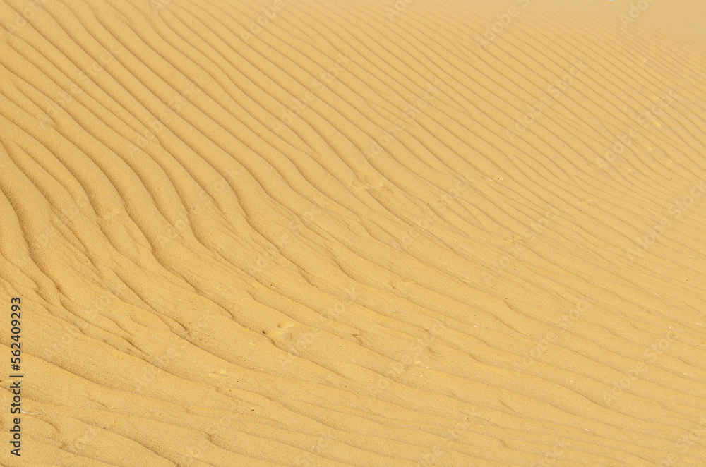 sand dune texture sand dune texture