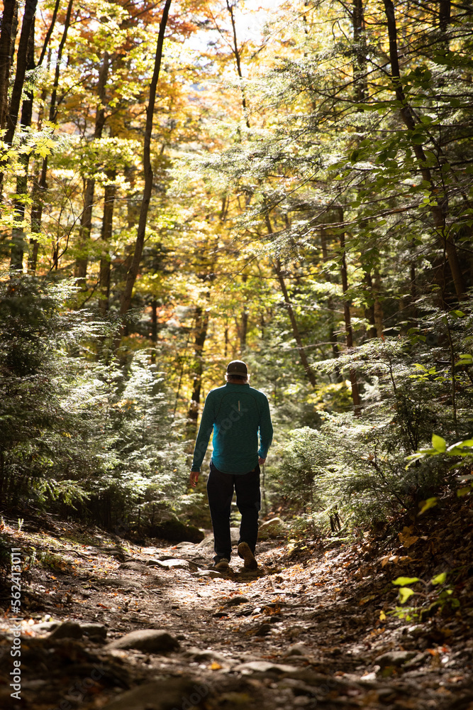 Fototapeta premium Hiker