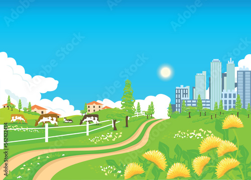 Summer landscape with a road from the village to the city. A farm with cows near a big city against a blue sky with clouds. Vector illustration.