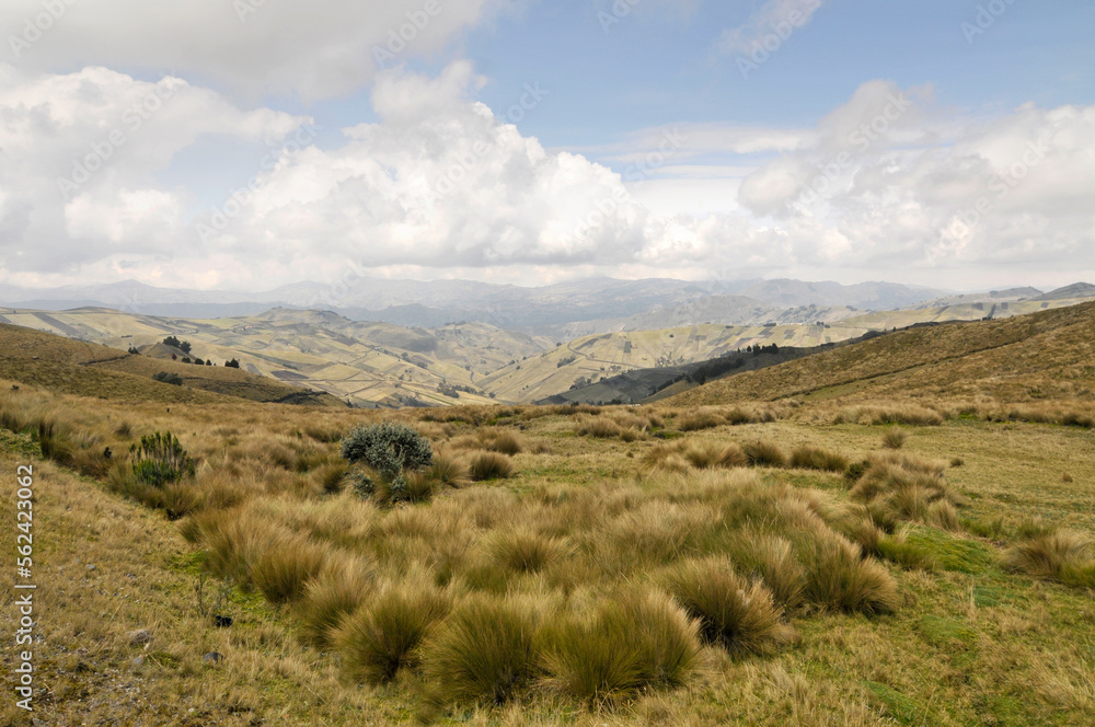 Mountain landscape in Ecuador