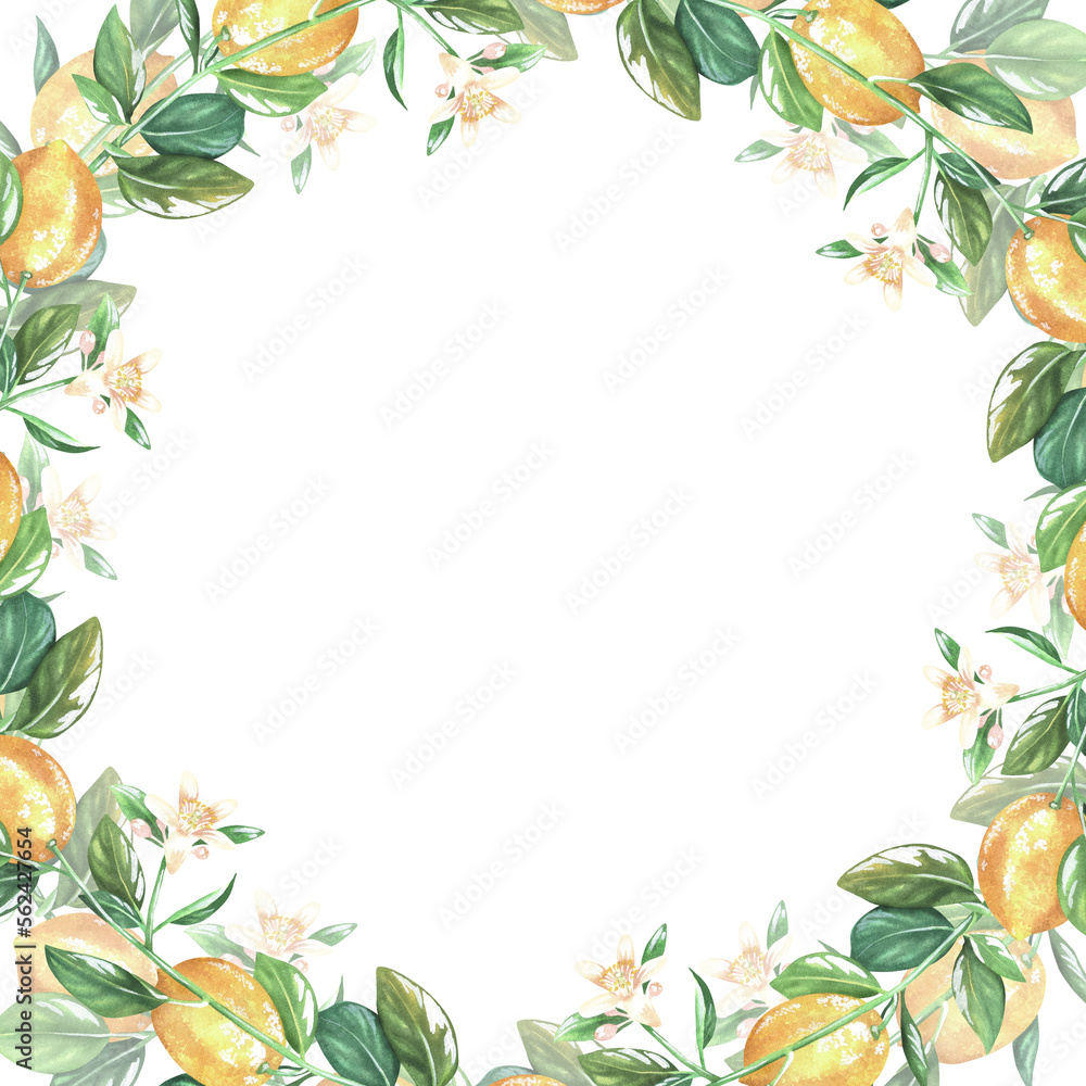 Square frame of lemons, leaves and flowers. Watercolor illustration. Place for inscription or text. Isolated on a white background. For design kitchen accessories, jam stickers, product packaging