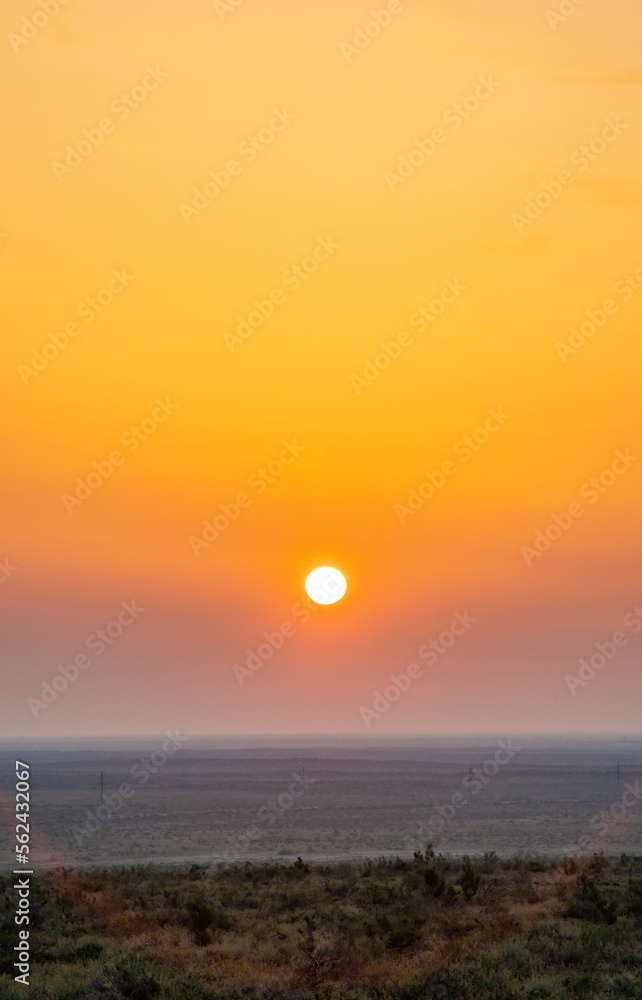 Paradise dawn in the spring in the flowering steppe of Kazakhstan. Paradise dawn in the spring in the flowering steppe of Kazakhstan.