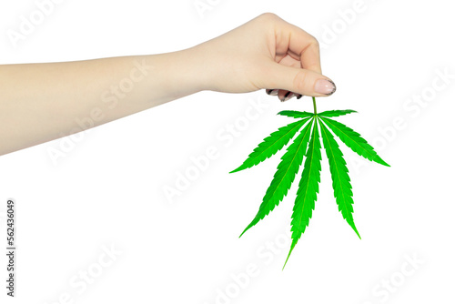 outstretched hand with cannabis leaf, cannabis legalization concept