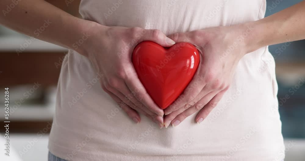 Midsection View Of A Woman's Hand Holding Red Midsection View Of A Woman's Hand Holding Red
