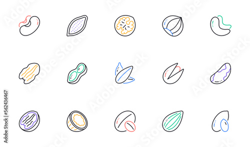 Nuts and seeds line icons. Hazelnut, Almond nut and Peanut. Sunflower seeds, Brazil nut, Pistachio icons. Walnut, Coconut and Cashew nuts. Linear set. Bicolor outline web elements. Vector