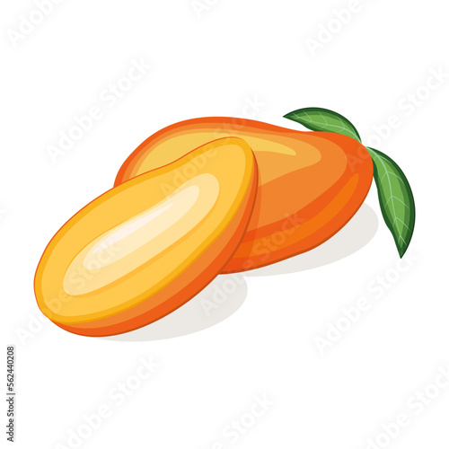Juicy fresh mango isolated on white background. Vector illustration