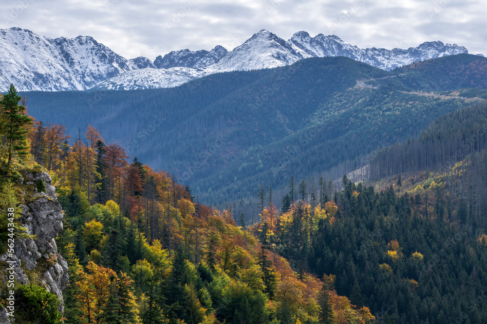 Autumn view of the Tatra Mountains from Nosal.