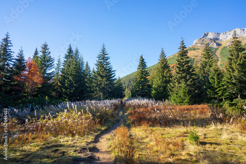 Belianske Tatras in autumn. Slovakia.