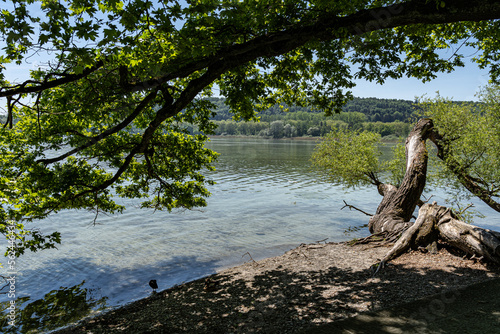 Fresh  clear and clean water of Lake Constance