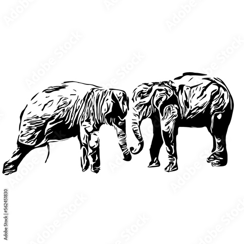 Black and white sketch of an elephant on a transparent background