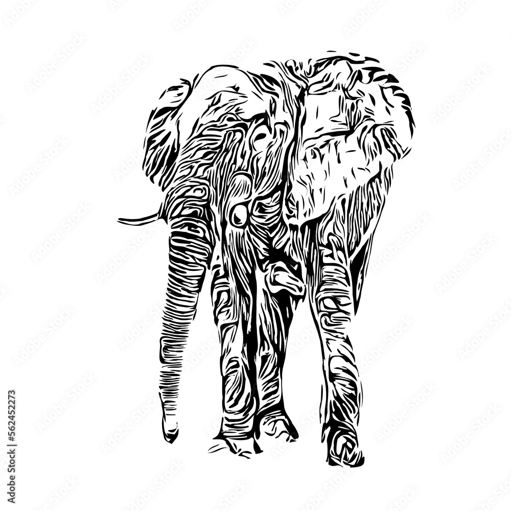 Black and white sketch of an elephant on a transparent background Black and white sketch of an elephant on a transparent background