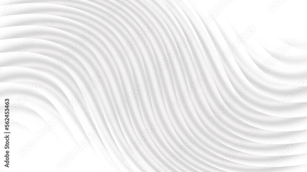 White grey curve line waves abstract motion background seamless looping. 4K footage White grey curve line waves abstract motion background seamless looping. 4K footage