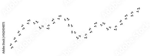 Bunny pawprints waving track. Hare feet steps. Wet or mud rabbit paw silhouettes. Trace of running or walking wild animal isolated on white background. Vector graphic illustration