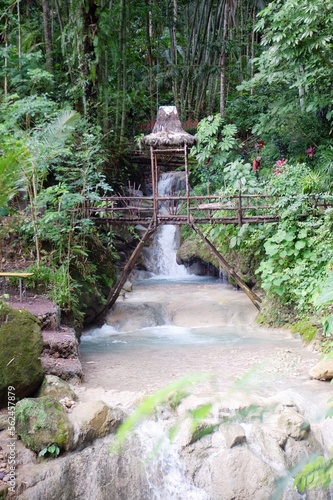 waterfall in the forest