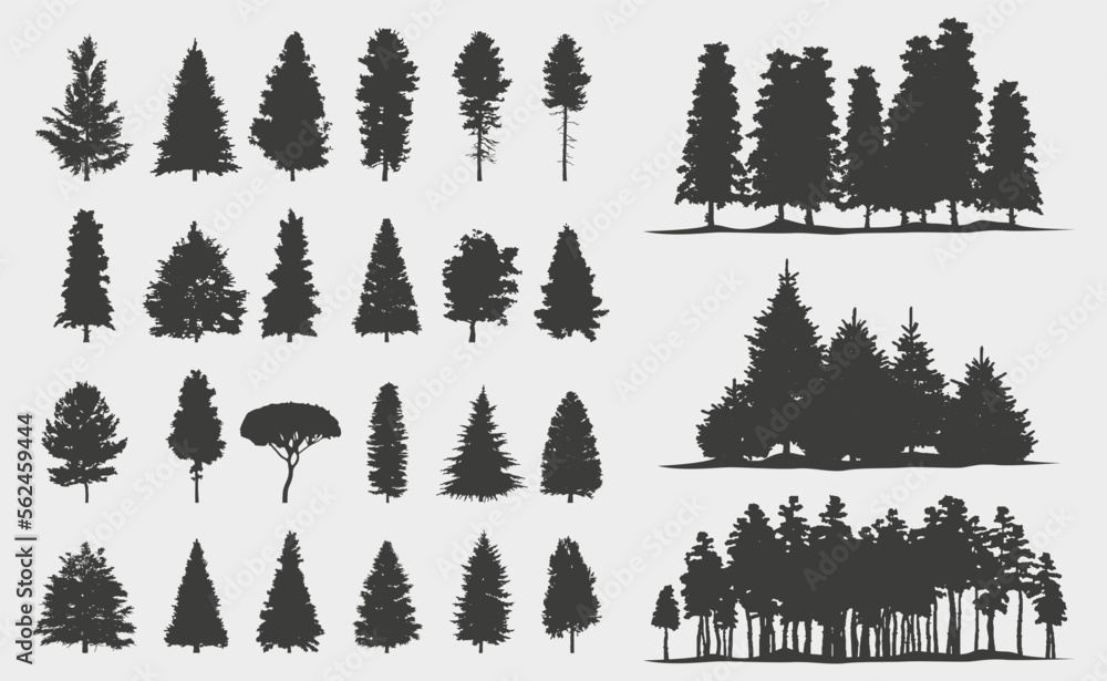 Spruce and Pine tree silhouette collection Stock Vector | Adobe Stock