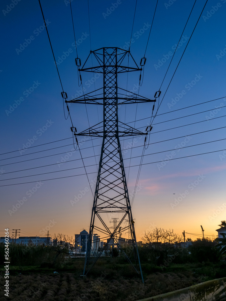 Fototapeta premium Red electrica