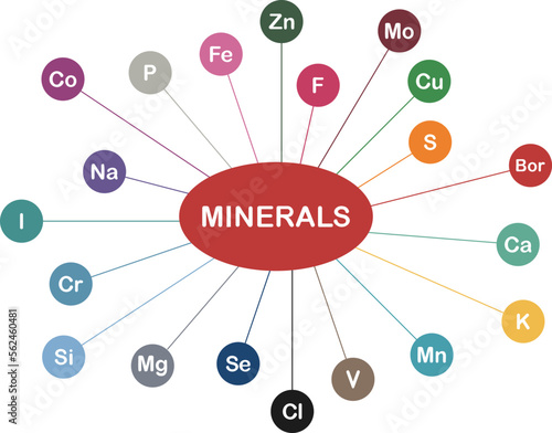 vector of the vitamin minerals