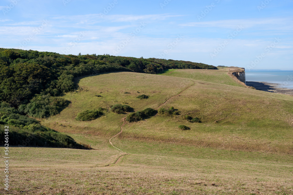 Obraz premium Rompval wood and coastal path of the Ault cliffs in Hauts-de-France region